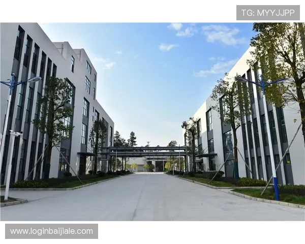凯发真人集团官网的技术保障与公平公正的游戏环境建设方案解析